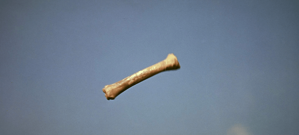 This image has an empty alt attribute; its file name is 2001-bone.png